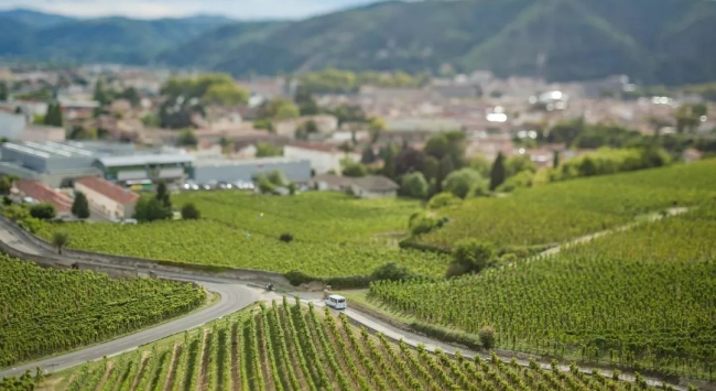 北羅納河谷特級(jí)產(chǎn)區(qū)葡萄園 北羅納河谷特級(jí)產(chǎn)區(qū)葡萄園