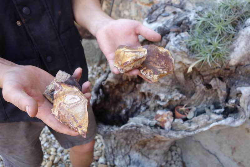 博若萊葡萄酒產區(qū)