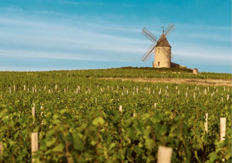 博若萊葡萄酒產區(qū)