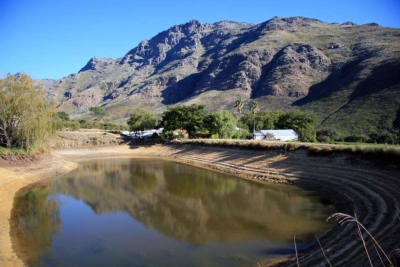 開(kāi)普敦水荒，南非葡萄酒何去何從