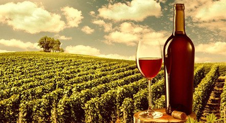 刷新拍賣紀錄的1945年羅曼尼·康帝是一款怎樣的酒？